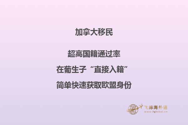 加拿大大西洋四省申請條件，你符合以下條件嗎？