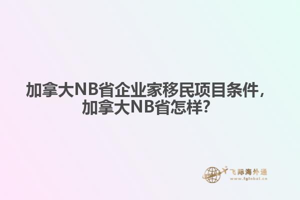 加拿大NB省企業(yè)家移民項目條件，加拿大NB省怎樣？