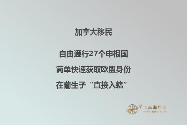 加拿大留學獎學金如何申請，有哪些可以申請的獎學金？