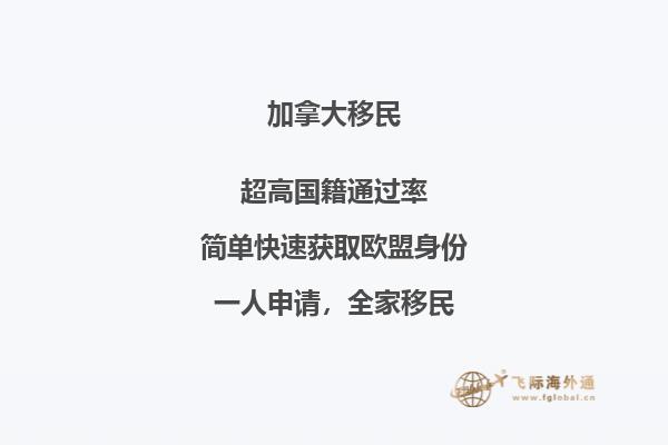 加拿大NB省企業(yè)家移民申請條件，優(yōu)勢怎么樣？