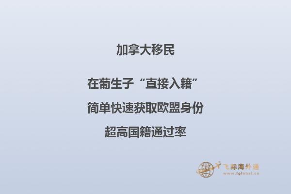 加拿大高中留學如何申請