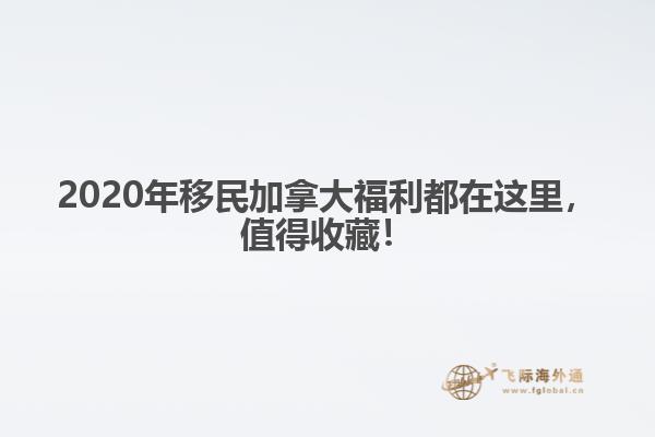 2020年移民加拿大福利都在這里，值得收藏！