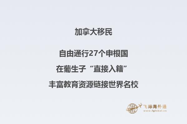 加拿大NB省企業(yè)家移民申請(qǐng)條件如何，你能申請(qǐng)嗎？