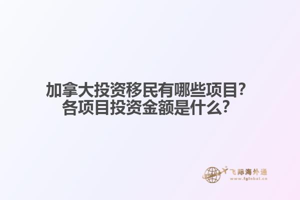 加拿大投資移民有哪些項目？各項目投資金額是什么？