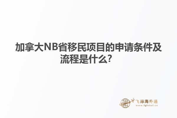 加拿大NB省移民項目的申請條件及流程是什么？