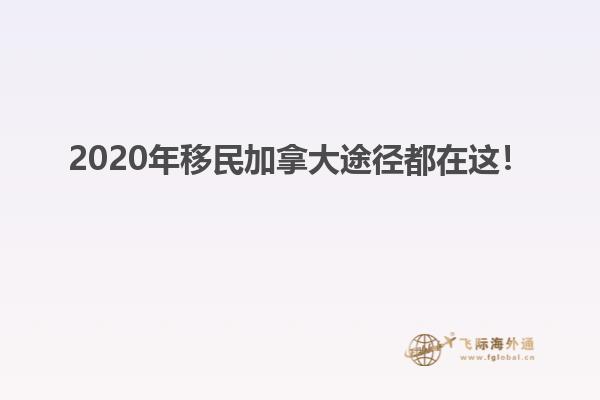 2020年移民加拿大途徑都在這！