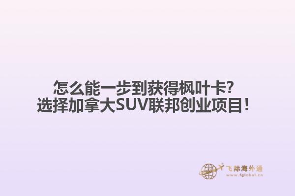 怎么能一步到獲得楓葉卡？選擇加拿大SUV聯(lián)邦創(chuàng)業(yè)項(xiàng)目！