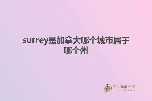 surrey是加拿大哪個城市屬于哪個州