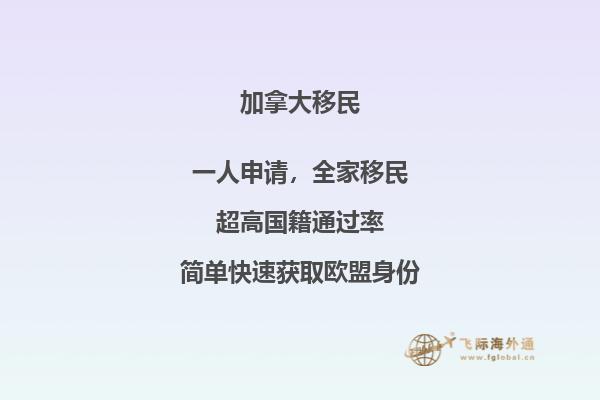 加拿大的大學和學院你真的了解嗎