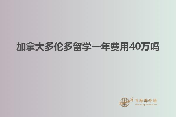 加拿大多倫多留學(xué)一年費(fèi)用40萬嗎