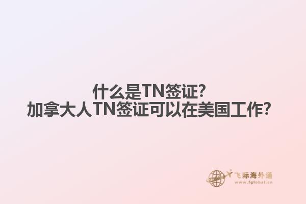 什么是TN簽證？加拿大人TN簽證可以在美國(guó)工作？